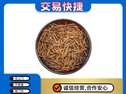 普洱市高价回收散虫草