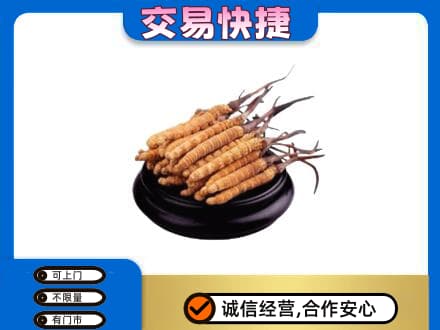 普洱市礼品回收散虫草.jpg